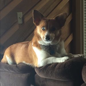 Meet your Posher, Christine